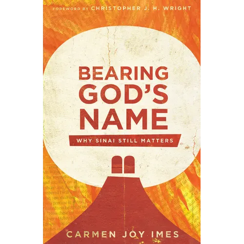 Bearing God's Name: Why Sinai Still Matters - Paperback
