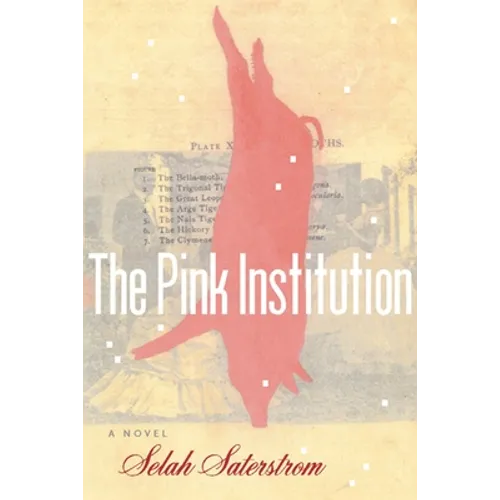 The Pink Institution - Paperback