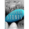 Seeing Through Stones: Young Adult Contemporary Fiction - Paperback