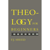 Theology for Beginners - Paperback