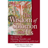 The Wisdom of Solomon and Us: The Quest for Meaning, Morality and a Deeper Relationship with God - Paperback
