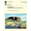 The Mesa Site: Paleoindians above the Arctic Circle - Paperback