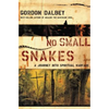 The No Small Snakes: A Journey Into Spiritual Warfare - Paperback