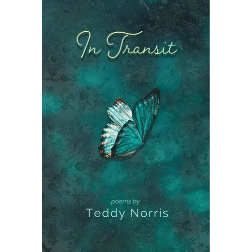 In Transit - Paperback