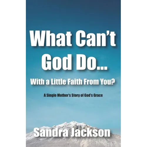 What Can't God Do Wiht a Little Faith From You: A Single Mother's Story of God's Grace - Paperback