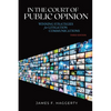 In the Court of Public Opinion: Winning Strategies for Litigation Communications - Paperback
