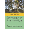 Distraction in the minutiae: Poems from nature - Paperback