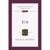 Job: An Introduction and Commentary - Paperback