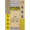 The Life Of The Bee - Paperback