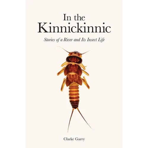 In the Kinnickinnic: Stories of a River and Its Insect Life - Paperback