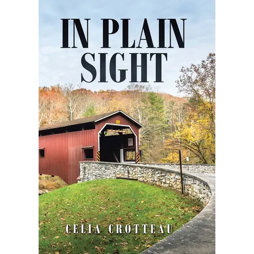 In Plain Sight - Hardcover