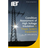 Condition Assessment of High Voltage Insulation in Power System Equipment - Paperback