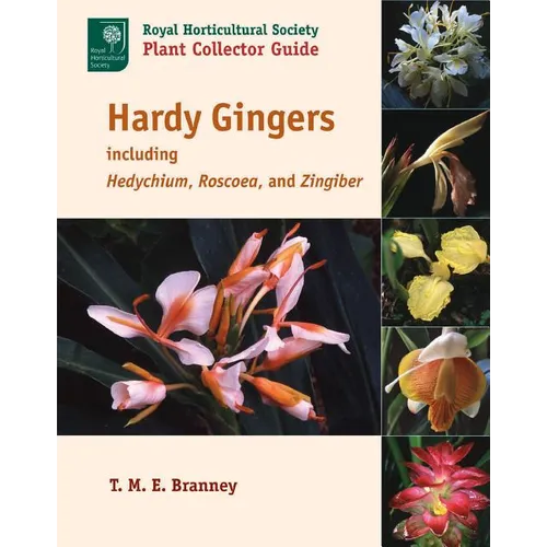 Hardy Gingers: Including Hedychium, Roscoea, and Zingiber - Paperback