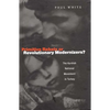 Primitive Rebels or Revolutionary Modernizers: The Kurdish Nationalist Movement in Turkey - Paperback
