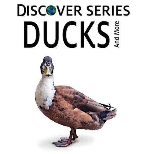 Ducks - Paperback