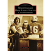 Pennsylvania High School Hockey Championships - Paperback