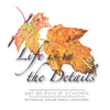 Life is in the Details - Paperback