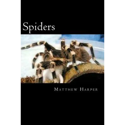 Spiders: A Fascinating Book Containing Spider Facts, Trivia, Images & Memory Recall Quiz: Suitable for Adults & Children - Paperback