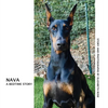 Nava: A Bedtime Story - Hardcover