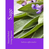 Sage - Salvia spp. - Paperback