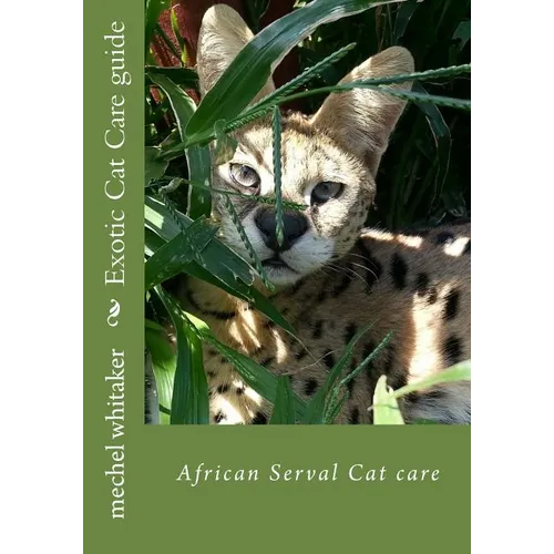 Exotic Cat Care guide: African Serval Cat care - Paperback