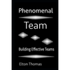 Phenomenal Team: Building Effective Teams - Paperback