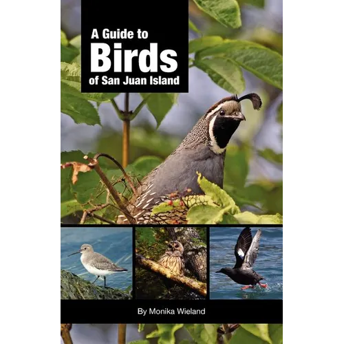A Guide to Birds of San Juan Island - Paperback