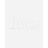 Janiva Ellis: Rats - Paperback