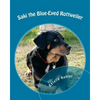 Saki the Blue-Eyed Rottweiler - Paperback