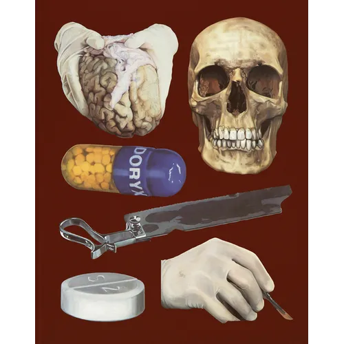 Damien Hirst: The Elusive Truth - Paperback