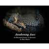 Awakening Awe: An Illustrated Journey to Reverence - Paperback