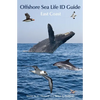 Offshore Sea Life ID Guide: East Coast - Paperback
