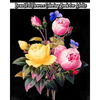 Beautiful Flowers Coloring Book for Adults - Paperback