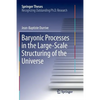 Baryonic Processes in the Large-Scale Structuring of the Universe - Paperback