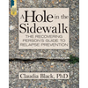 A Hole in the Sidewalk: The Recovering Person's Guide to Relapse Prevention - Paperback