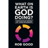 What on Earth Is God Doing?: Understanding the Experience of Discipleship - Paperback