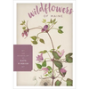 Wildflowers of Maine - Hardcover