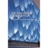 The Philosophy of Perception: Phenomenology and Image Theory - Paperback