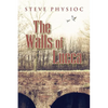 The Walls of Lucca - Paperback