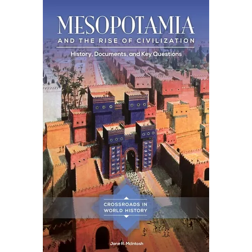 Mesopotamia and the Rise of Civilization: History, Documents, and Key Questions - Hardcover