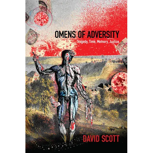 Omens of Adversity: Tragedy, Time, Memory, Justice - Hardcover
