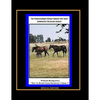 The Thoroughbred Female Families That Have Dominated The Racing World - Paperback