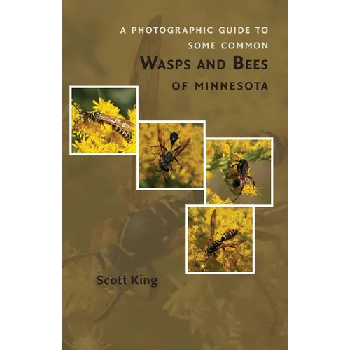 A Photographic Guide to Some Common Wasps and Bees of Minnesota - Paperback