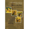 A Photographic Guide to Some Common Wasps and Bees of Minnesota - Paperback