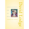 Consciousness and the Novel: Connected Essays - Paperback