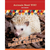 Caring for Small Animals - Paperback
