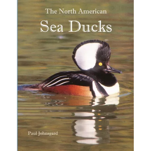 The North American Sea Ducks - Paperback