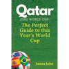 Qatar 2022 World Cup: The Perfect Guide to this year's World Cup - Paperback