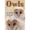Owls: Birds Of Prey - Paperback