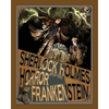 Sherlock Holmes and the Horror of Frankenstein - Paperback